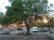 beau quennettier Grand-Camp coupé ordre