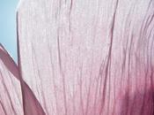 Expostion Pavot Nathalie Roussel