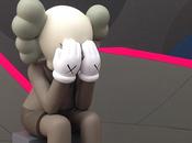 Kaws passing through companion (brown)