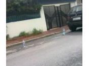 aussi l’ont décidé!