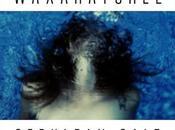 Waxahatchee Cerulean Salt