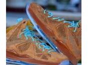 Nike LeBron Hazelnut Brown Suede