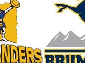 Highlanders Brumbies