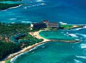 Turtle Resort, Hawaii