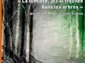 Exposition lumière, l’ai trouvée dans arbres œuvres Roger Cosme Estève Musée Beaux-Arts Gaillac