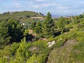 louer Beaumes Venise