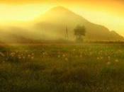 menu déroulant iPhone...