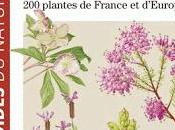 Guide plantes mellifères