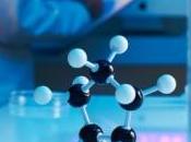 CHRONOTHÉRAPIE: Pourquoi certains cancers dorment jamais AACR