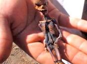 Decouverte d’un squelette mini alien ‘ata’ trouve chili etait fait humain
