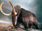 faut réformer l'État