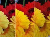 Test Galaxy iPhone Xperia Lumia 920...