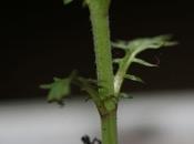 C'est quoi suite l'enquête