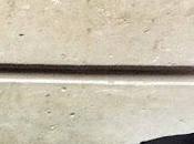 312ème semaine politique: président normal.