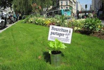 Si on cultivait des potagers en libre-service dans les rues ?
