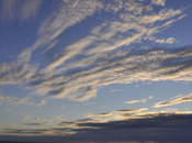 Bleu blanc black'n blues