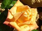 temps d'automne encore