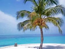 Maldives, îles paradisiaques idéales pour farniente