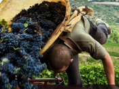 tour France touristique étape Cathare