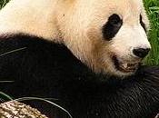 Référencement gamme coûte cher