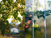 afternoon Paris Serres d'Auteuil