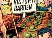 Victory garden 2013 Résistance!