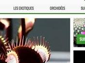 Nouveau site Karnivores.com cadeau