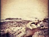 Cool Capture iPhone, direction Burkina Fasso...