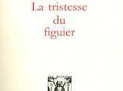 Supplément tristesse figuier d’Yves Namur