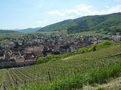 petite synthèse bien