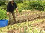 Comment jardiner sans travailler