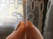 Pour plus mignonne souris