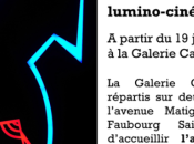 Galerie Caplain-Matignon exposition VALERIA ATTINELLI