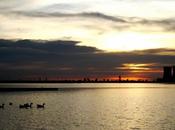 Allemagne l’AIE critique coûts transition énergétique