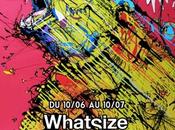 Steve pitocco exhibition