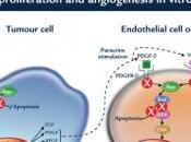 CANCER THYROIDE: sorafenib tient tumeur échec plus longtemps ASCO