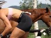 Flickr nouvelle version, 1000 gigas d’espace stockage pour tout monde