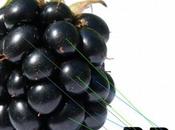 BlackBerry nouveau flagship pour