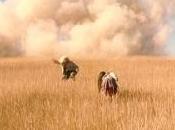 Film Mystère indice)