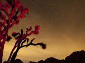 playlist dimanche désert californien selon Josh Homme