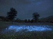 Conversation sous étoiles