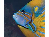 Ryan Power Identity Picks