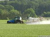 Santé preuves s'accumulent toxicité pesticides