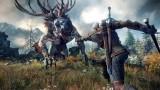 2013] Série d'images pour Witcher