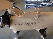 Star Trek mode 8-bits