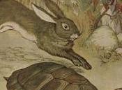 principe précaution myope hauts risques