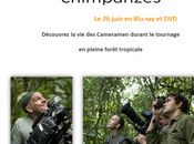 Chimpanzés Découvrez vies Cameramen dans Jungle‏