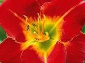 Yessssss retouuuuuur