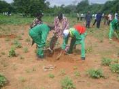 Campagne reforestation 2012 Burkina l'heure bilan