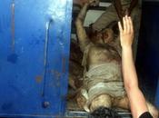 Merci Qardawi autres)